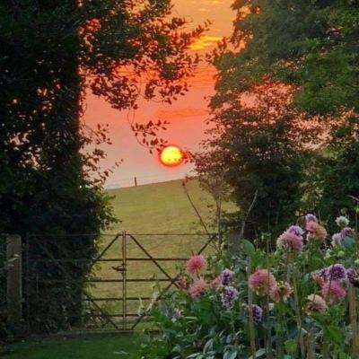 ROR体育官网登录入口app下载