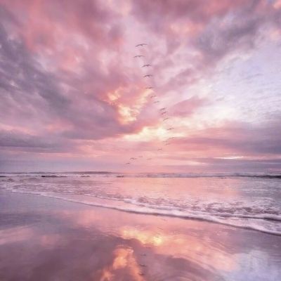 leyu手机版登录入口官网