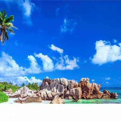 42982金牛网论坛下载手机版